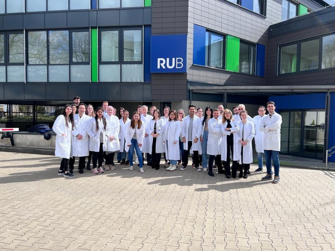 Team Cellular and Translational Physiology